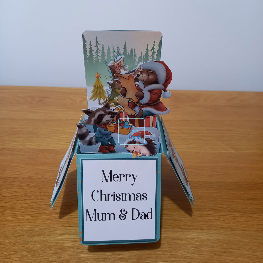 Cute Christmas animal pop up box card