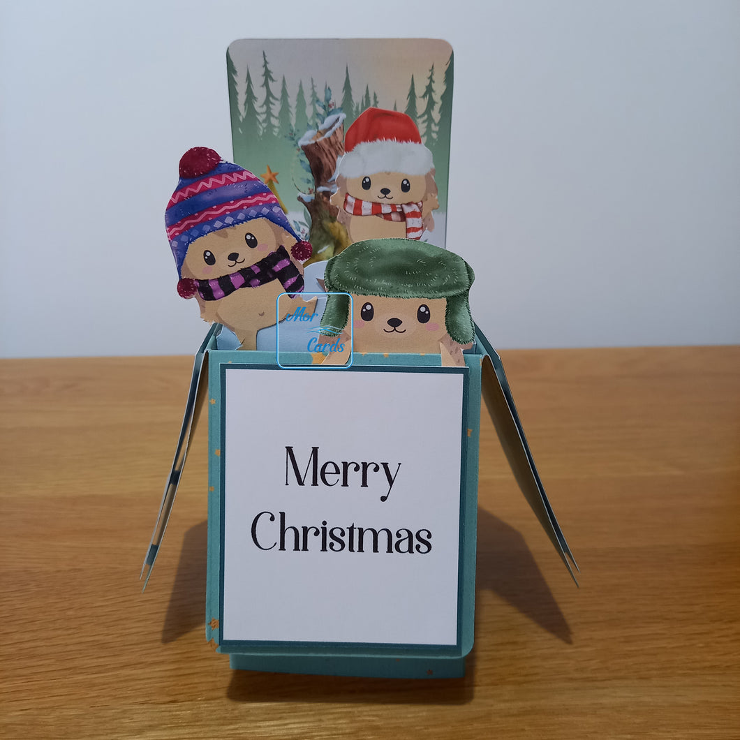 Christmas Hedgehog pop up box card